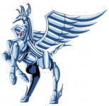 Pegasus cloth